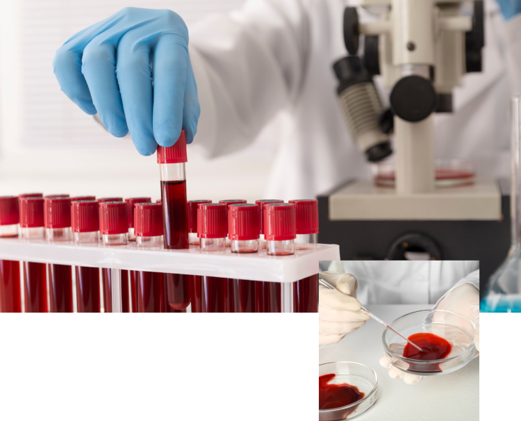 誘引増進血液加工の開発