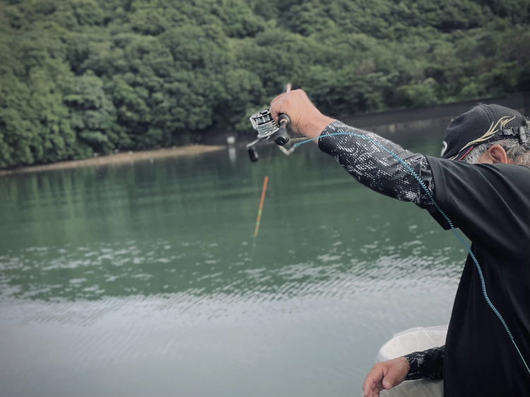 オンライン限定製品イメージ