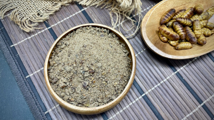 bnr:チヌ蛹ハイパーブレンド